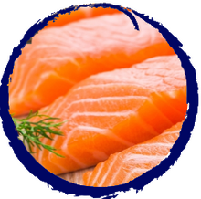 Fish Processing