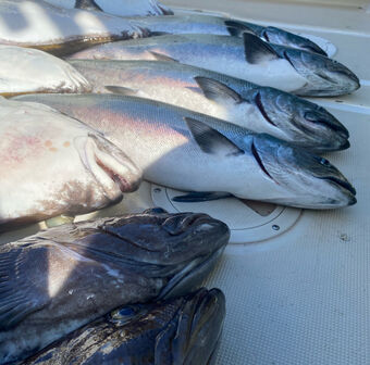 Ucluelet Fiishing Report May 2021