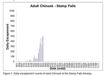 Daily Chinook Migration