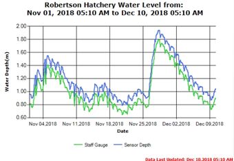Robertson Creek Upper River